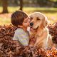 Golden Retriever recebendo beijo de uma criança