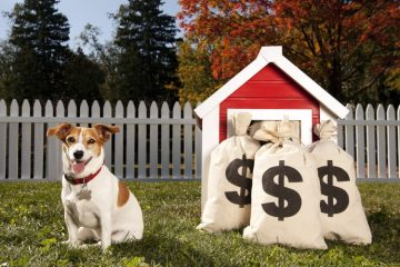 Cachorro sentado na grama e sacos de dinheiro