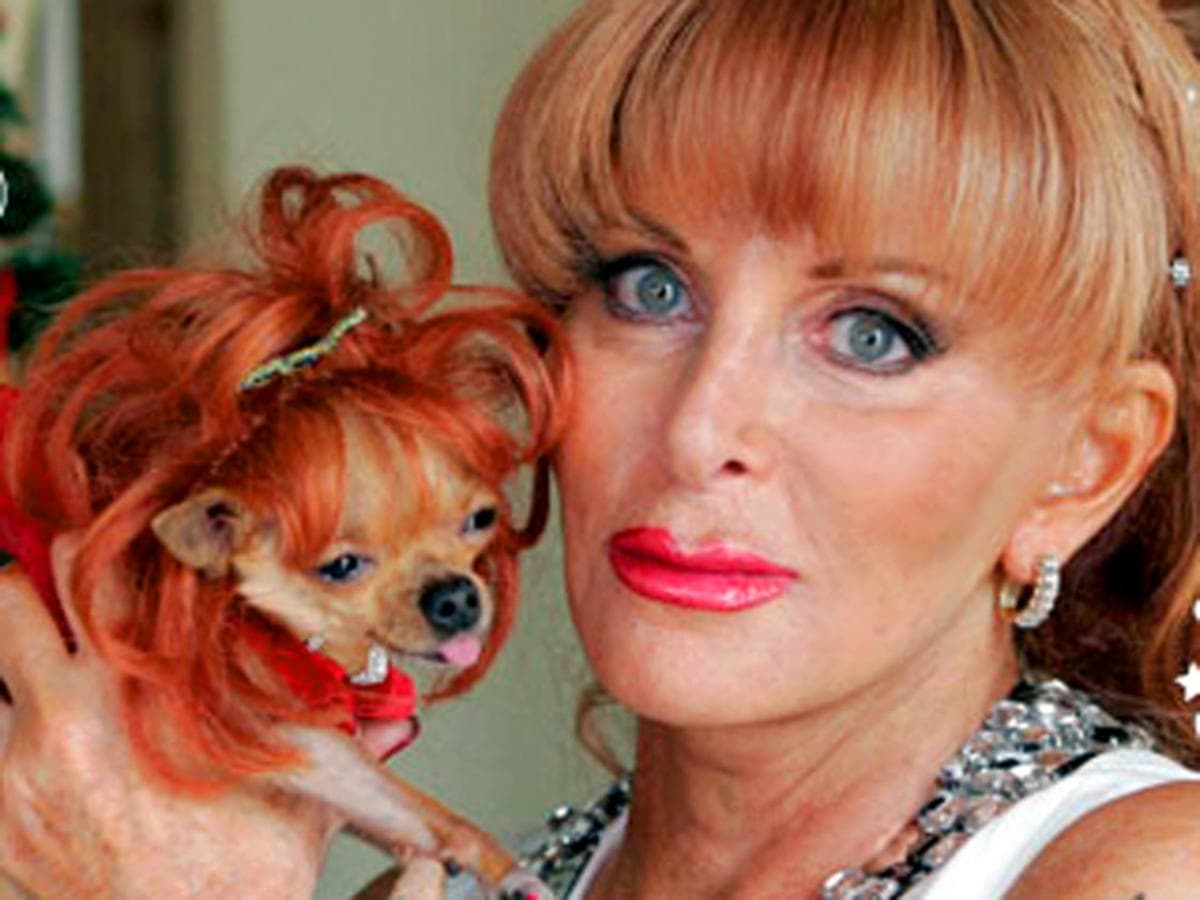 Gail Posner com seu chihuahua