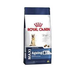 Ração Royal Canin Maxi Ageing 8+ para Cães Adultos de Raças Grandes Idosos com 8 Anos ou mais