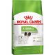 Ração Royal Canin X-Small para Cães Adultos