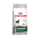Ração Seca Royal Canin Cuidado Digestivo para Cães Adultos de Raças Mini a partir de 10 meses de idade