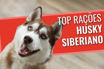 Rações para husky siberiano