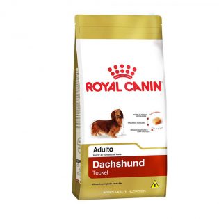 Royal Canin Dachshund