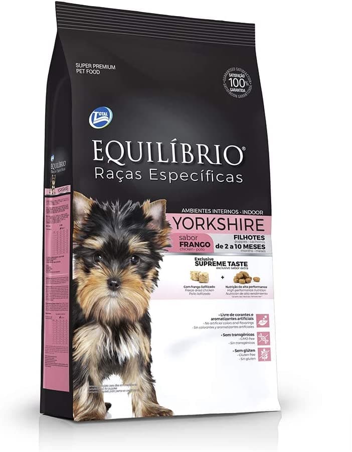 As 5 melhores rações para Yorkshire Terrier em Setembro de 2023