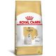 Ração royal canin maltes