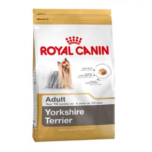 Royal Canin Yorkshire