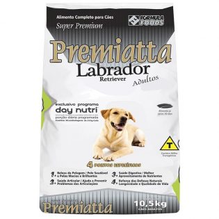 Premiatta Labrador Retriever