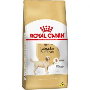 Royal Canin Labrador Retriever