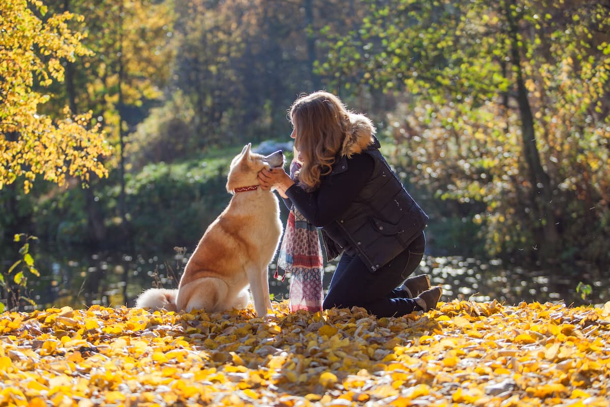 akita com tutora nas folhas