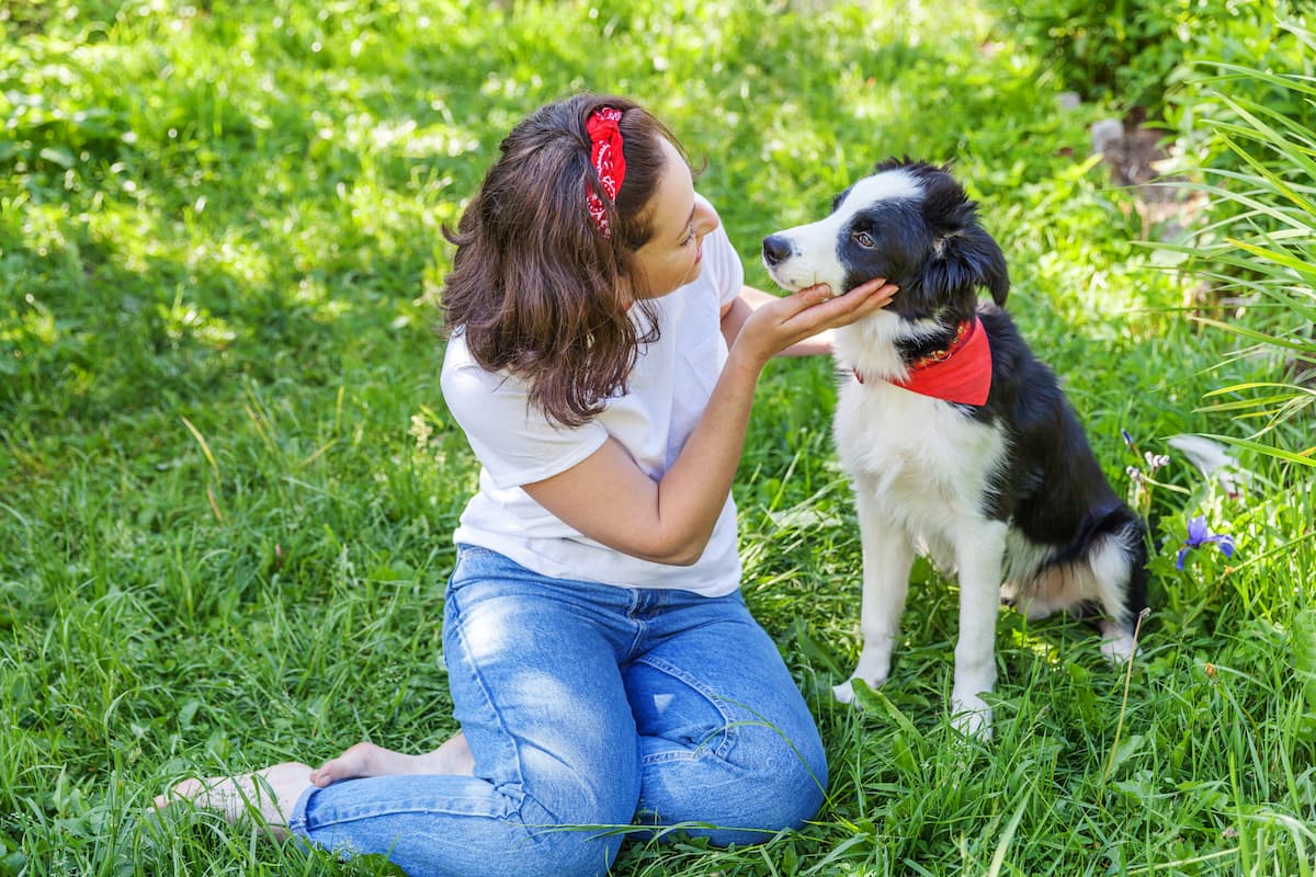 border collie na grama com tutora