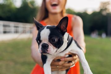 mulher segurando boston terrier