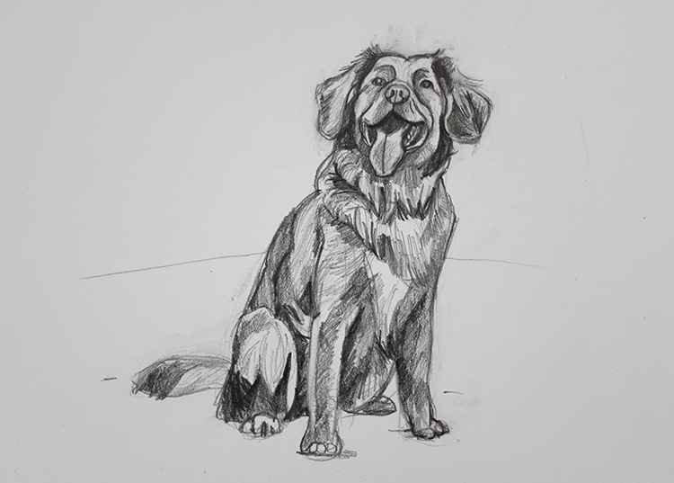 Cachorro fácil de fazer em 2023  Desenho de cachorro, Cachorro