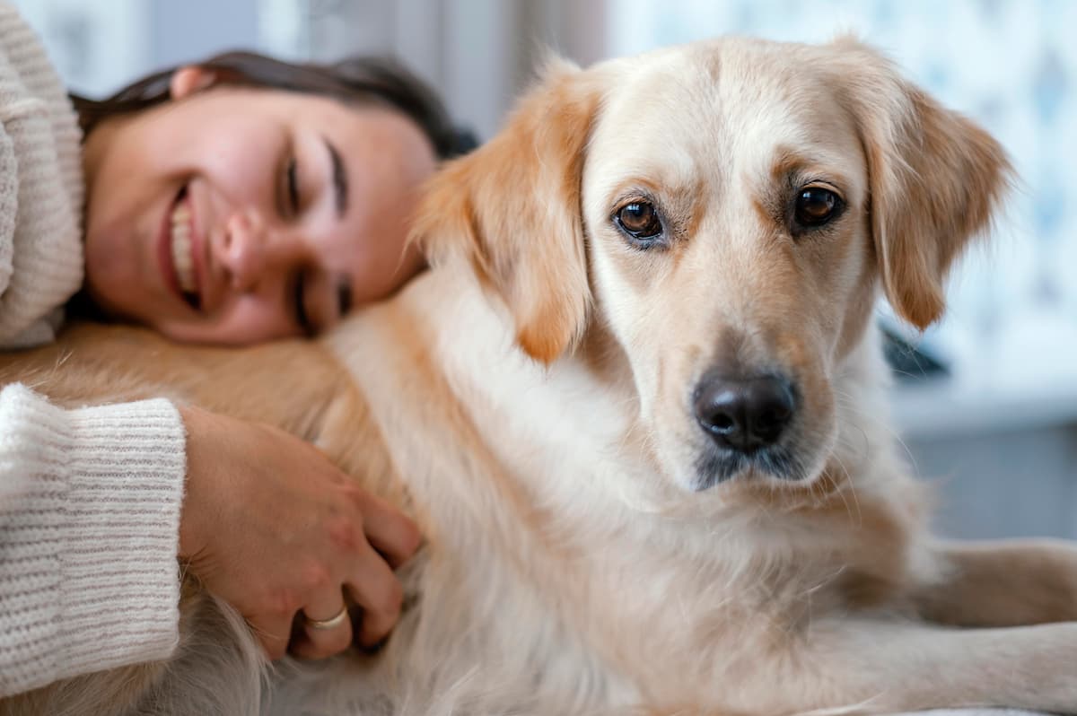 cachorro e tutora