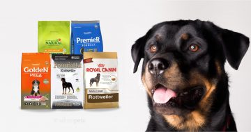 Rações para rottweiler