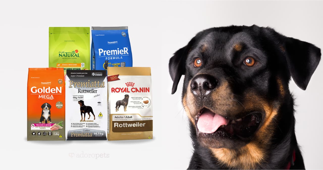 As 9 Melhores Rações para Rottweiler (Filhotes, Adultos e Idosos)