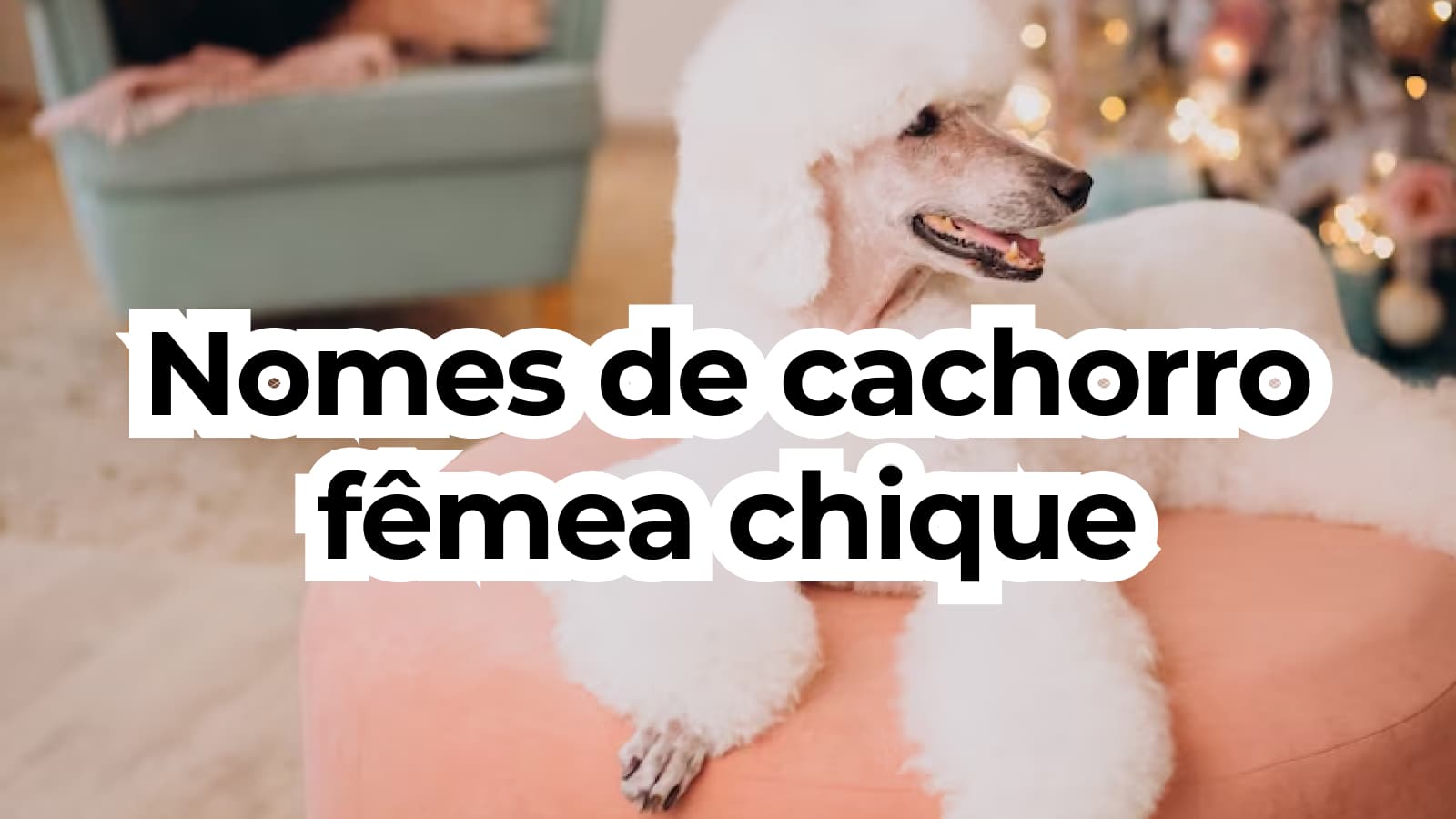 Nome de Cachorro Pequeno: 200 opções para cachorros e cadelas - Adoro Pets