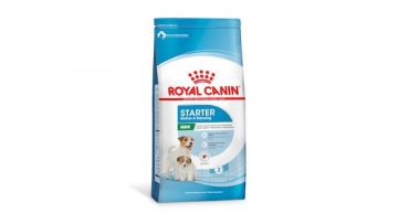 Ração Royal Canin Starter