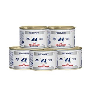 Kit 5 Ração Úmida Royal Canin Cães Recovery Lata - 195g 195 g