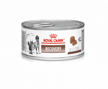Ração Royal Canin Lata Canine e Feline Veterinary Diet Recovery Wet - 195 g Frango Vegetais 195 g