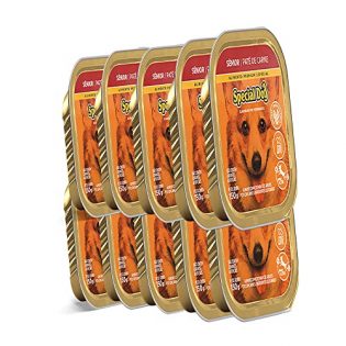 Ração Special Dog Patê Cães Sênior Carne 150g - 10 unidades 150 g