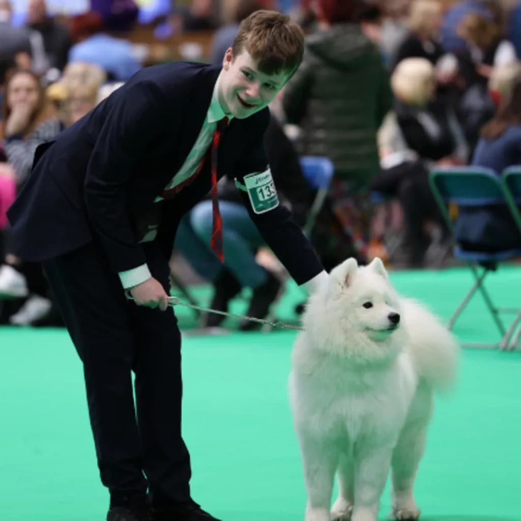 Cachorro vence câncer raro e se torna estrela de exposição canina