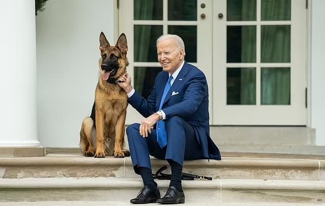 Commander, pastor alemão de Joe Biden, é removido da Casa Branca após atacar agentes do Serviço Secreto 24 vezes