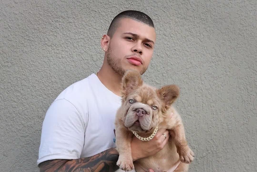 Rope Daddy bulldog francês avaliado em meio milhão de reais