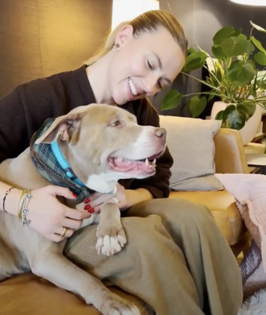 Scarlett Johansson tem encontro especial com cadela pit bull